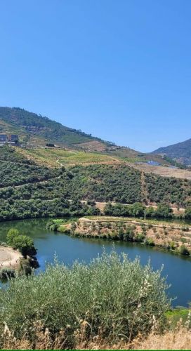 Passeio de Motas e Motorizadas de Medelo 2024